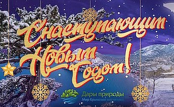 2020-12-11 11.06.08