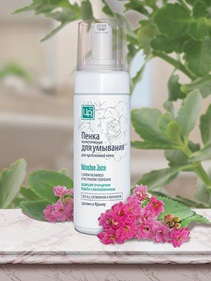 Пенка для умывания для проблемной кожи «KALANCHOE JUICE» 